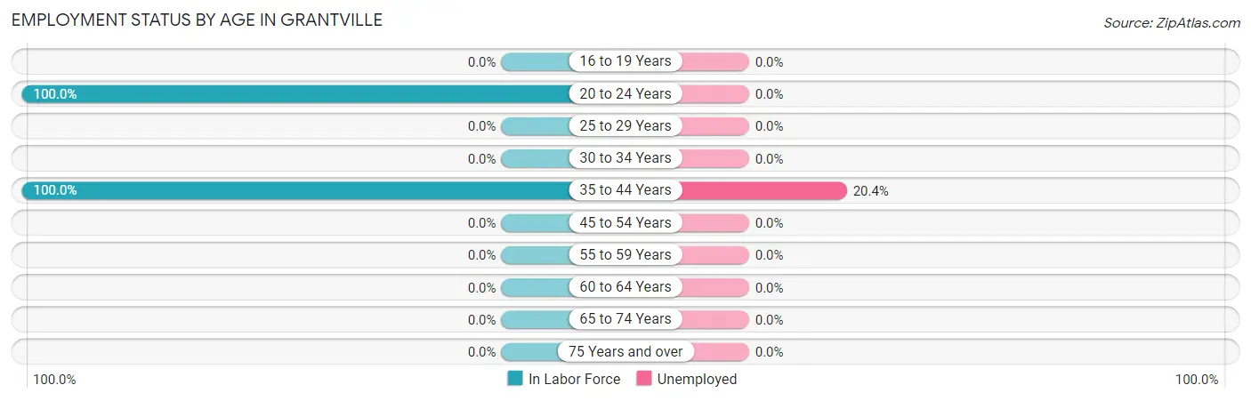 Employment Status by Age in Grantville