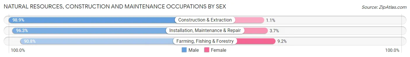 Natural Resources, Construction and Maintenance Occupations by Sex in Great Bend