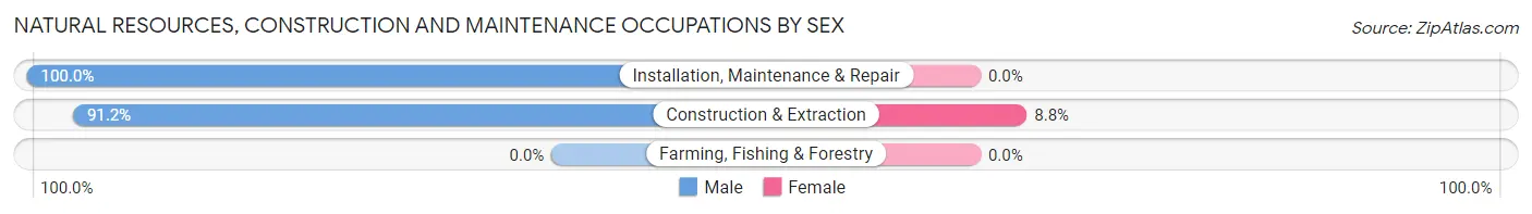 Natural Resources, Construction and Maintenance Occupations by Sex in Gridley