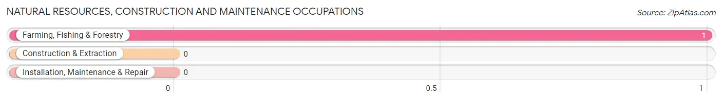 Natural Resources, Construction and Maintenance Occupations in Haddam