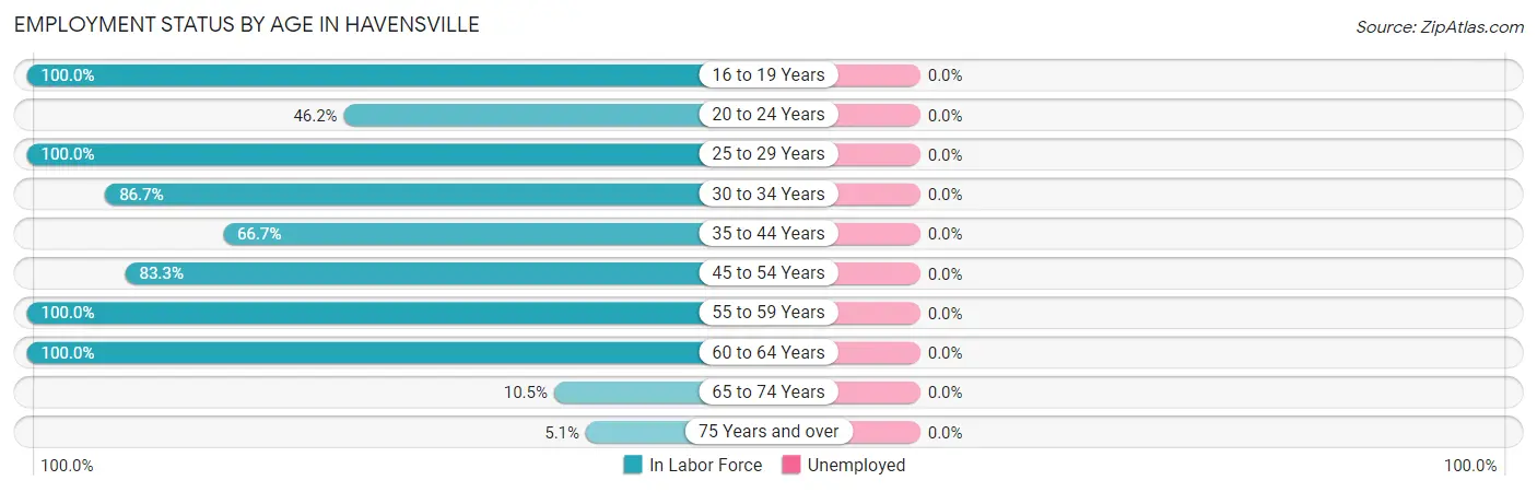 Employment Status by Age in Havensville