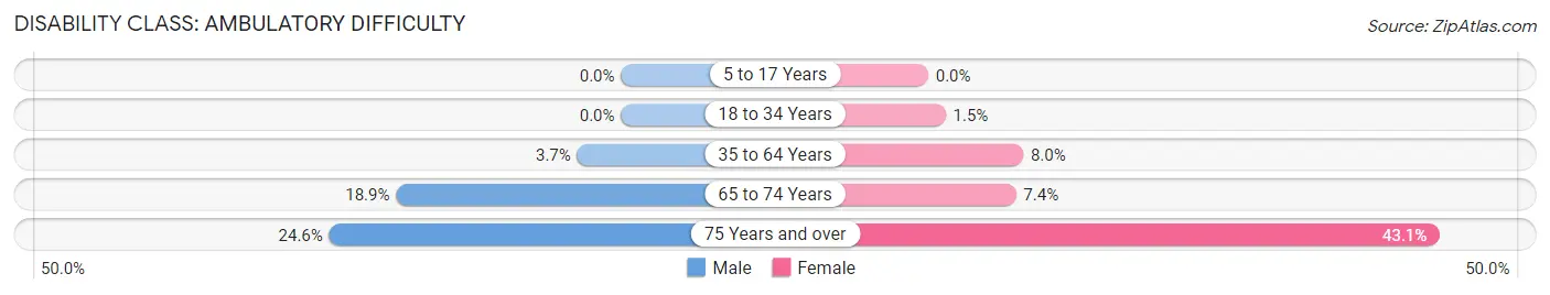 Disability in Hays: <span>Ambulatory Difficulty</span>