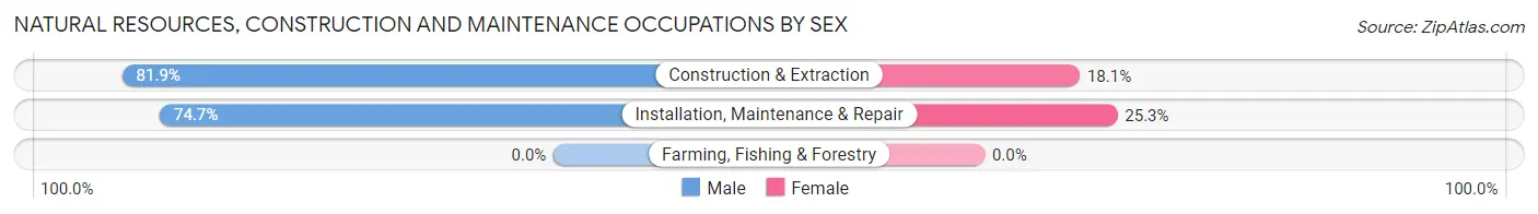 Natural Resources, Construction and Maintenance Occupations by Sex in Haysville