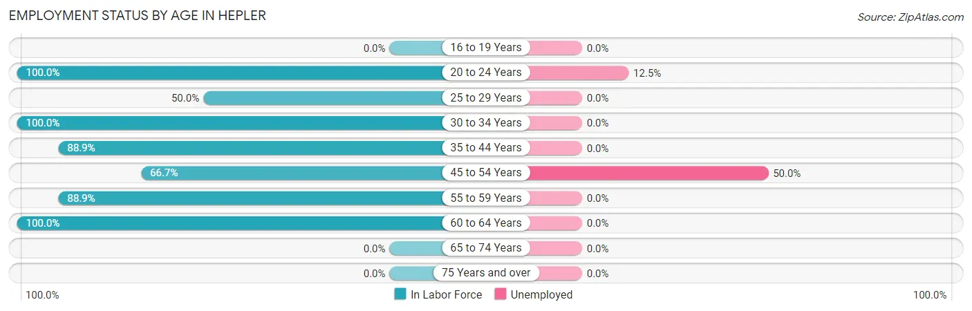 Employment Status by Age in Hepler