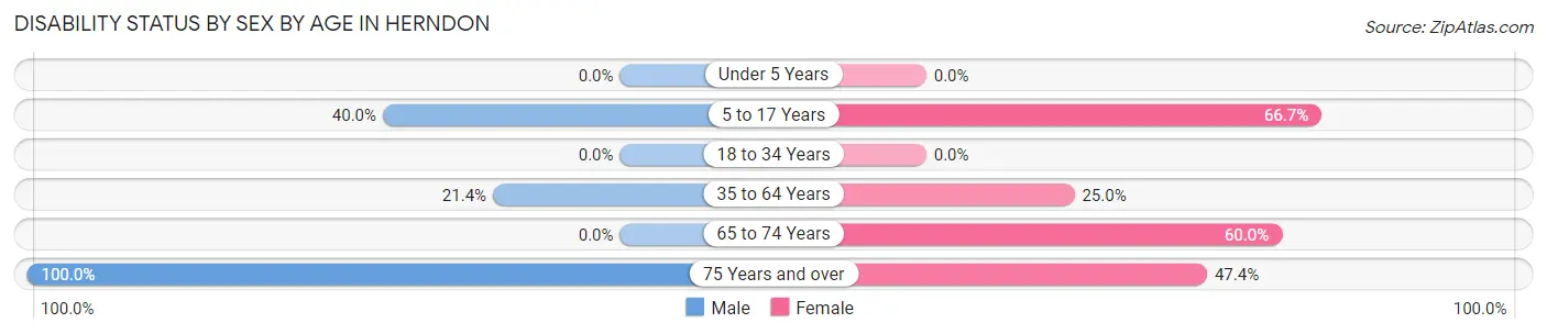 Disability Status by Sex by Age in Herndon