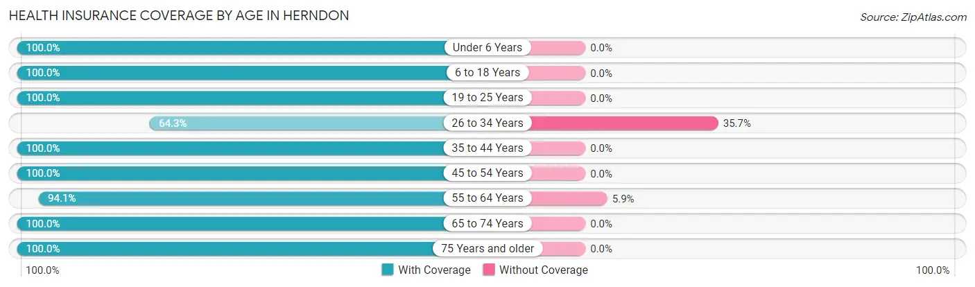 Health Insurance Coverage by Age in Herndon