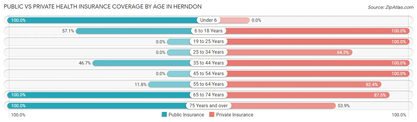 Public vs Private Health Insurance Coverage by Age in Herndon
