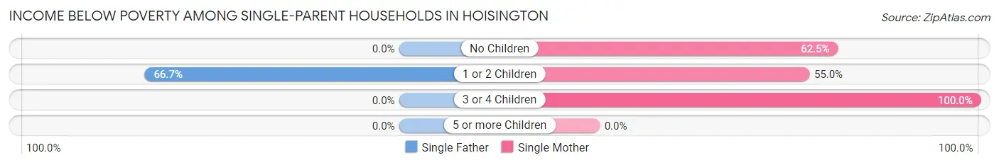 Income Below Poverty Among Single-Parent Households in Hoisington