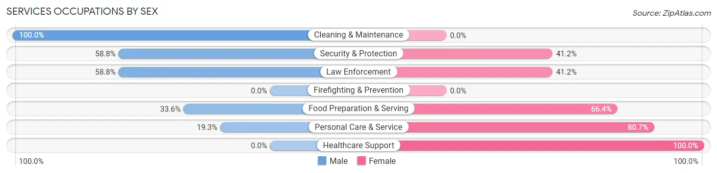 Services Occupations by Sex in Holton