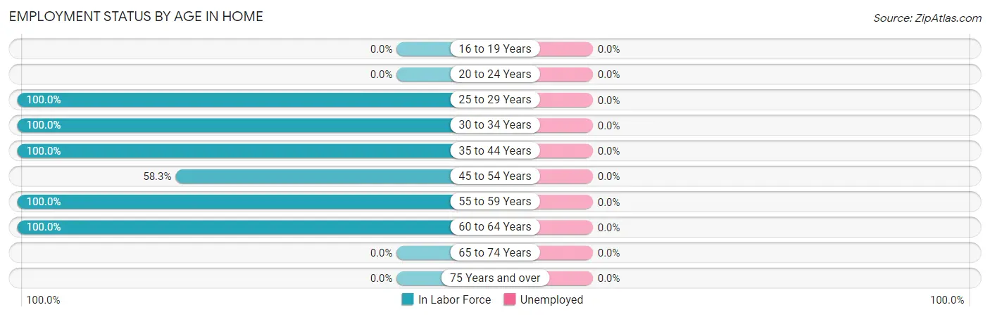 Employment Status by Age in Home