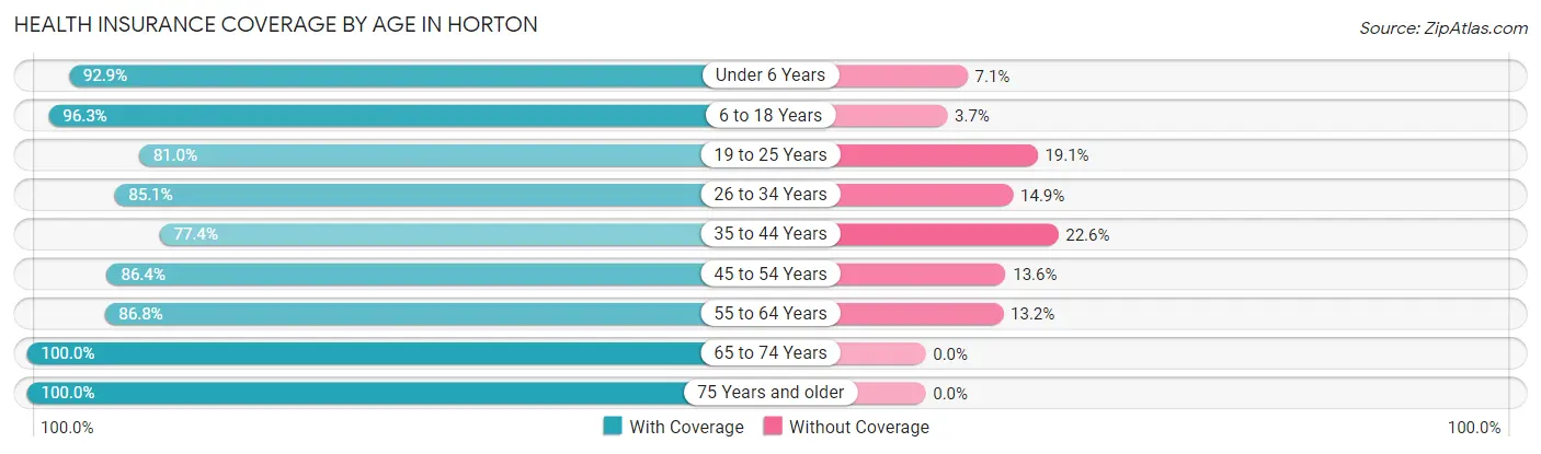 Health Insurance Coverage by Age in Horton