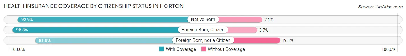 Health Insurance Coverage by Citizenship Status in Horton