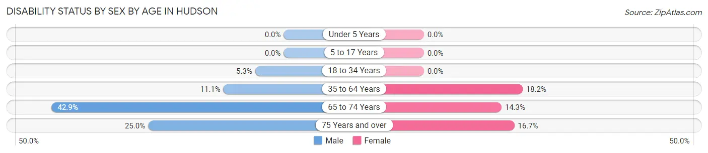 Disability Status by Sex by Age in Hudson