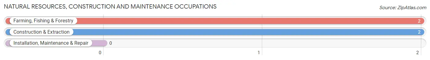 Natural Resources, Construction and Maintenance Occupations in Hudson