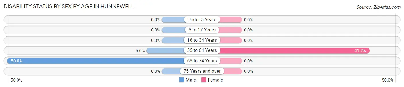 Disability Status by Sex by Age in Hunnewell