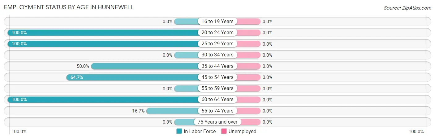 Employment Status by Age in Hunnewell