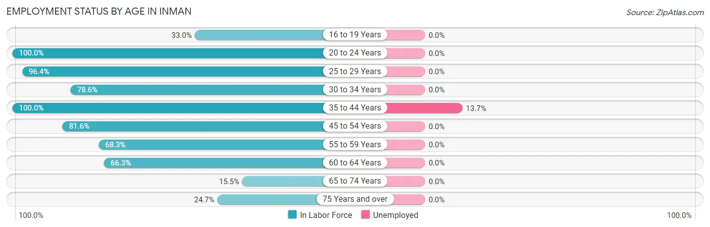 Employment Status by Age in Inman