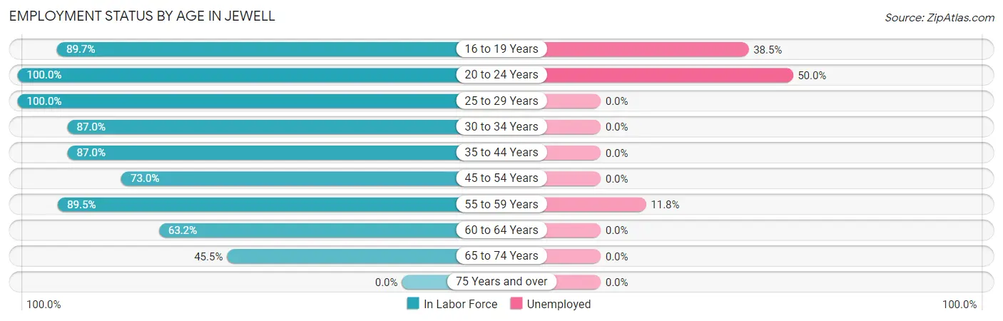 Employment Status by Age in Jewell
