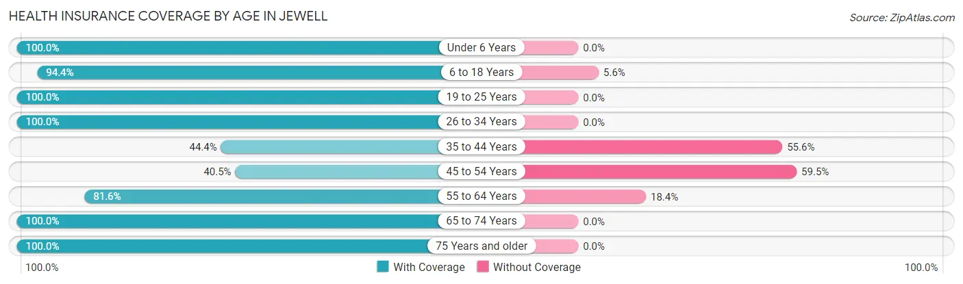Health Insurance Coverage by Age in Jewell