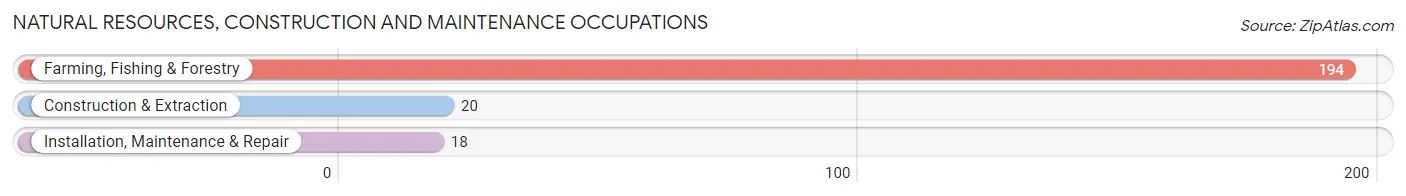 Natural Resources, Construction and Maintenance Occupations in Johnson City