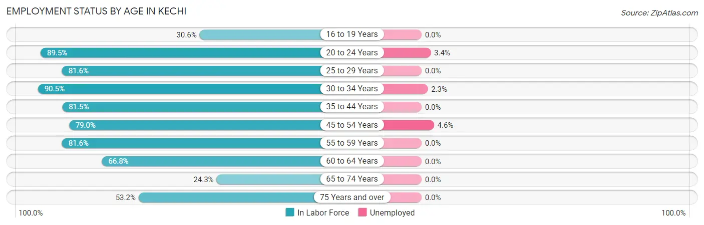 Employment Status by Age in Kechi