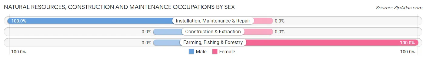 Natural Resources, Construction and Maintenance Occupations by Sex in Kincaid