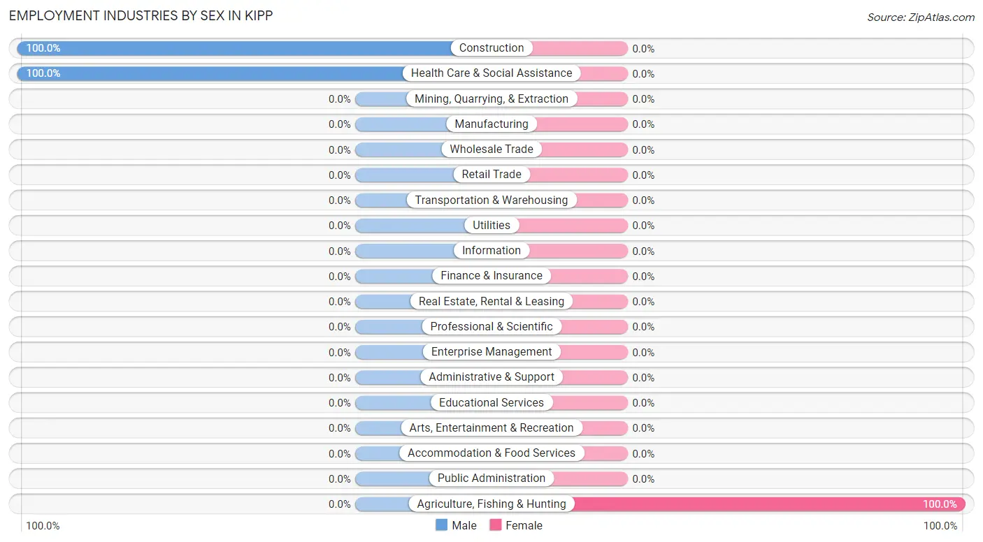 Employment Industries by Sex in Kipp