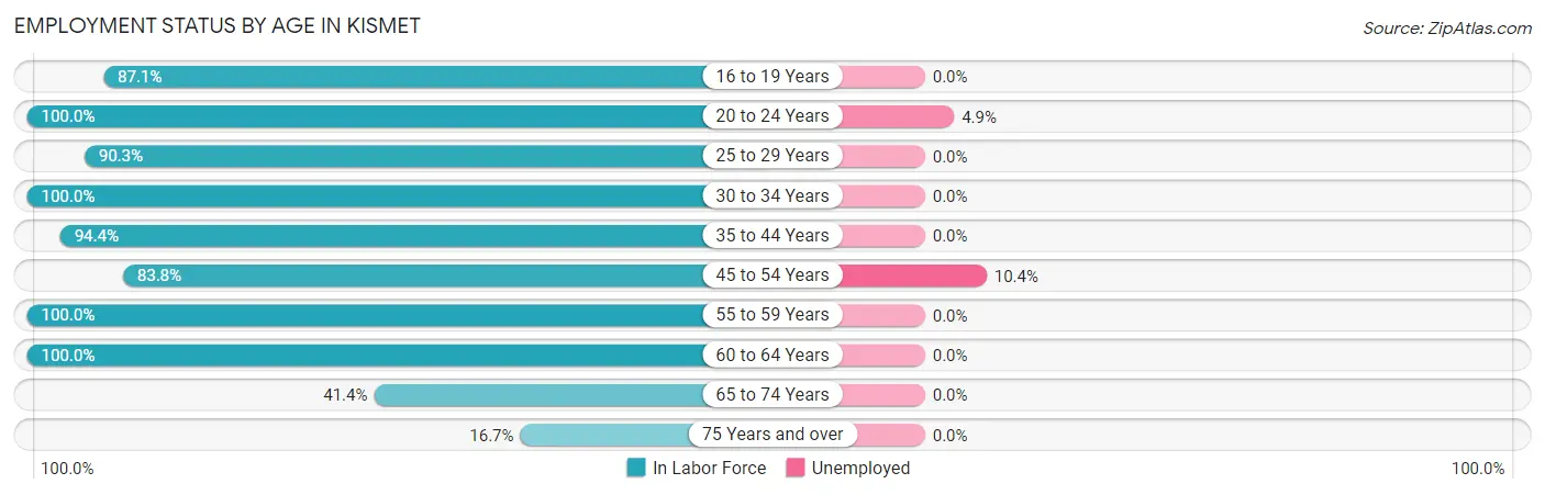 Employment Status by Age in Kismet
