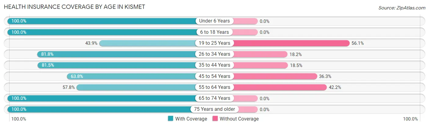 Health Insurance Coverage by Age in Kismet