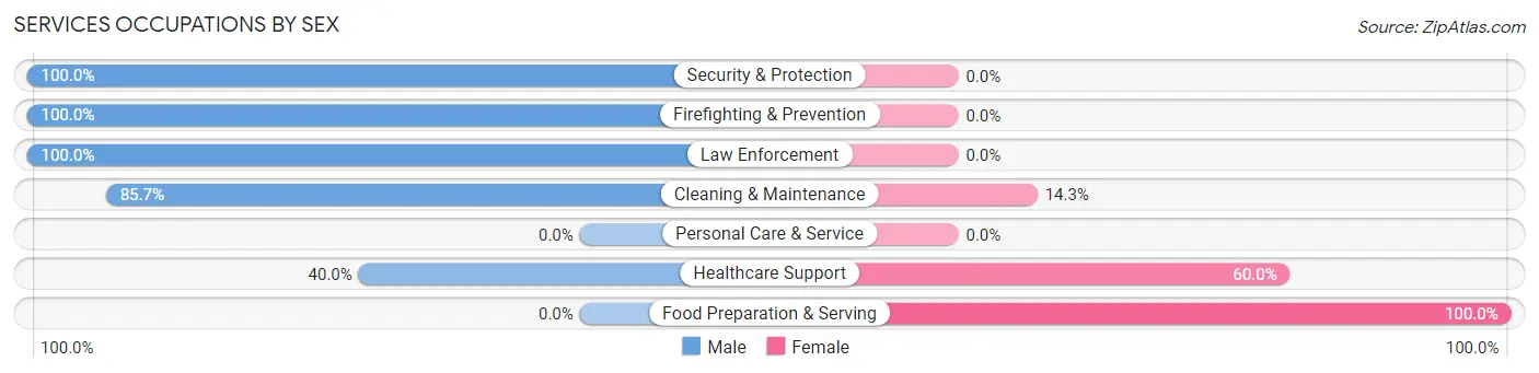Services Occupations by Sex in Kismet