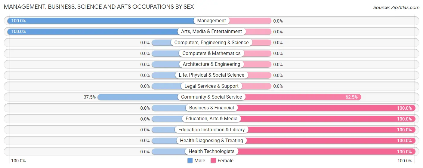 Management, Business, Science and Arts Occupations by Sex in Lebanon