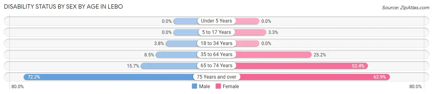 Disability Status by Sex by Age in Lebo