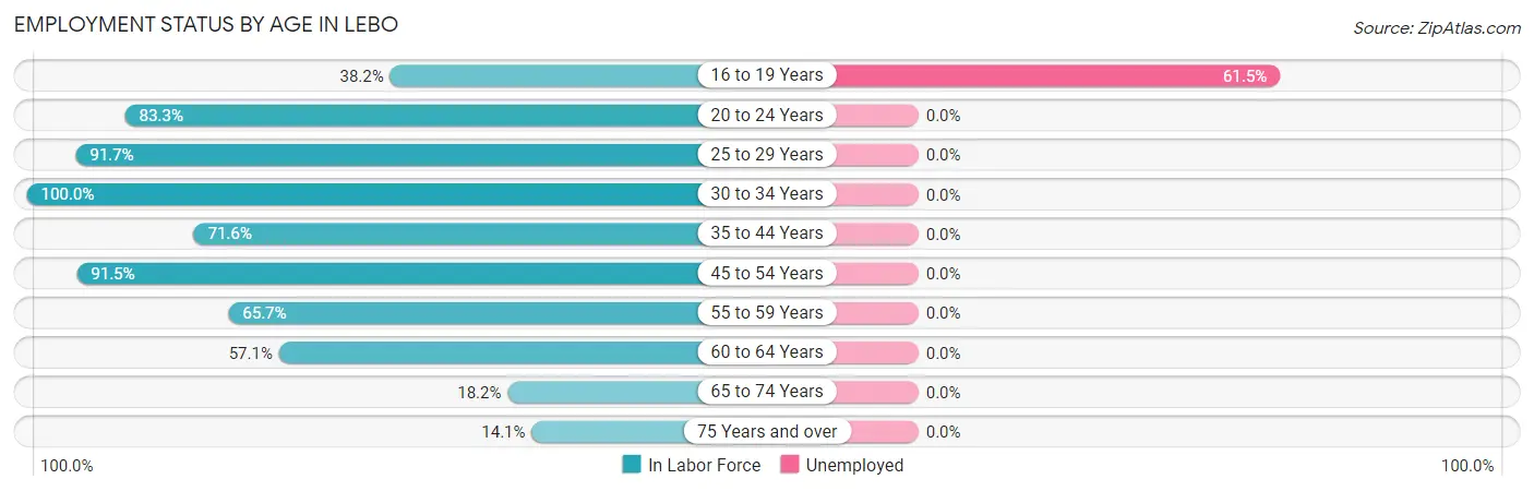 Employment Status by Age in Lebo