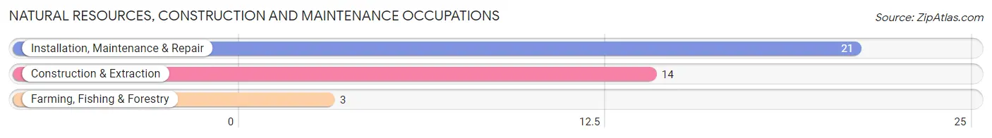 Natural Resources, Construction and Maintenance Occupations in Lebo