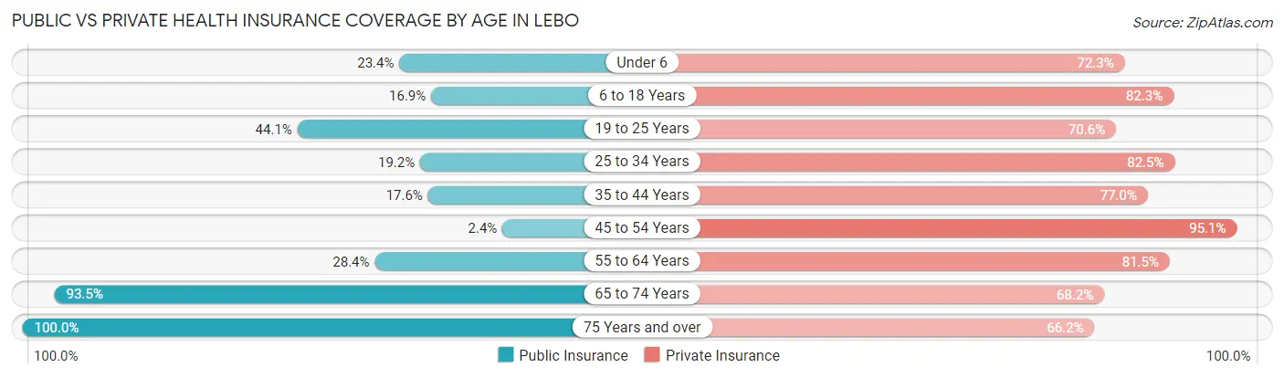 Public vs Private Health Insurance Coverage by Age in Lebo