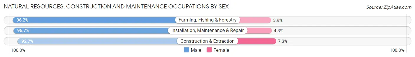 Natural Resources, Construction and Maintenance Occupations by Sex in Lenexa