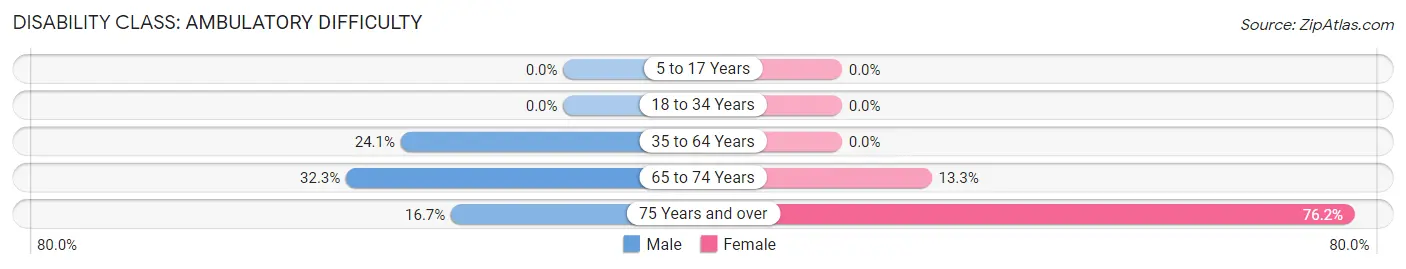 Disability in Lenora: <span>Ambulatory Difficulty</span>