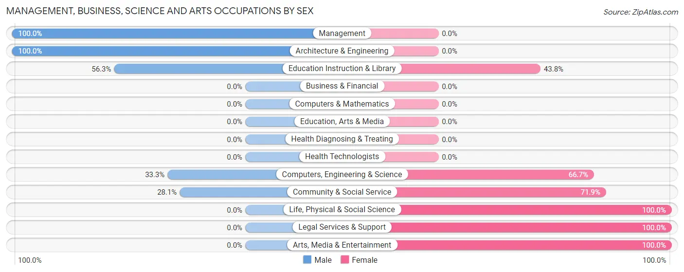 Management, Business, Science and Arts Occupations by Sex in Leon