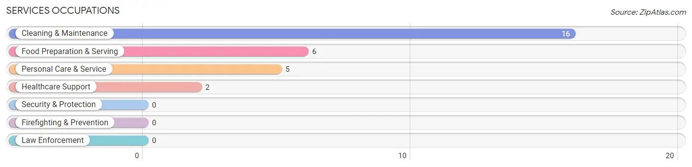 Services Occupations in Leon