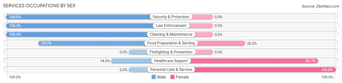 Services Occupations by Sex in LeRoy