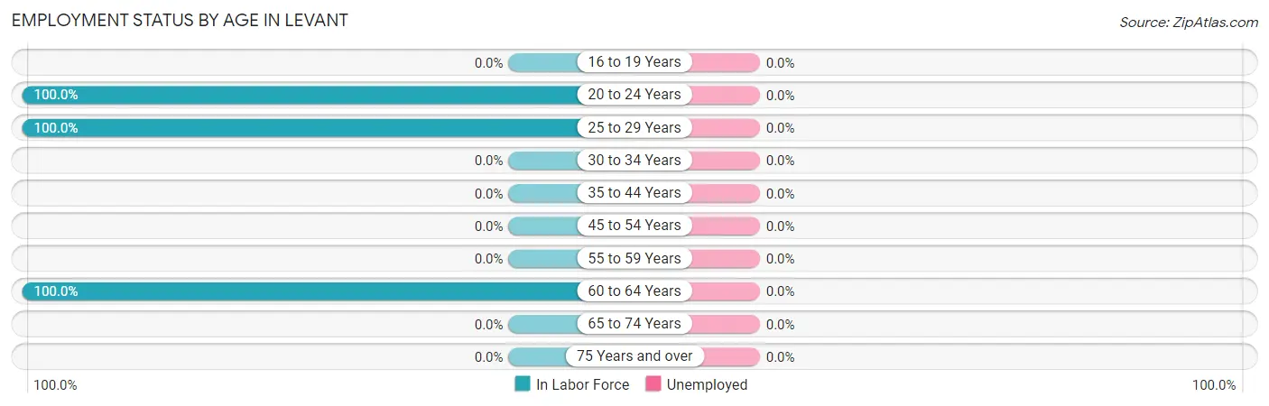 Employment Status by Age in Levant