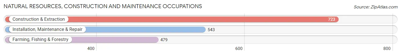 Natural Resources, Construction and Maintenance Occupations in Liberal