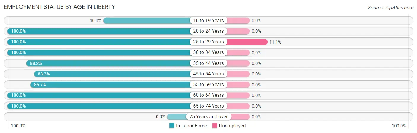 Employment Status by Age in Liberty