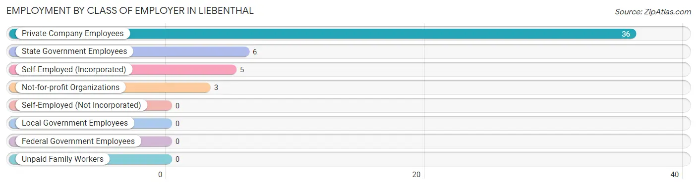 Employment by Class of Employer in Liebenthal