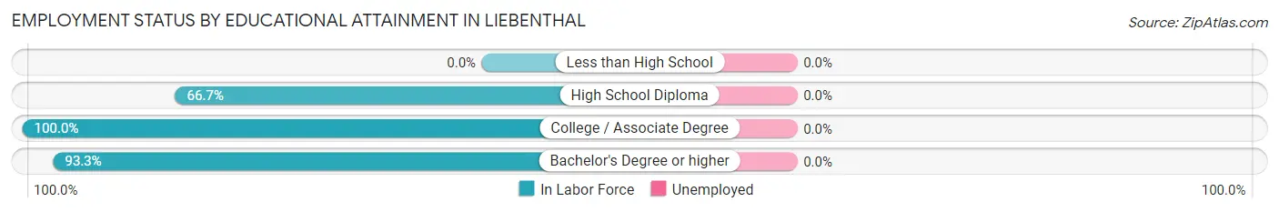 Employment Status by Educational Attainment in Liebenthal