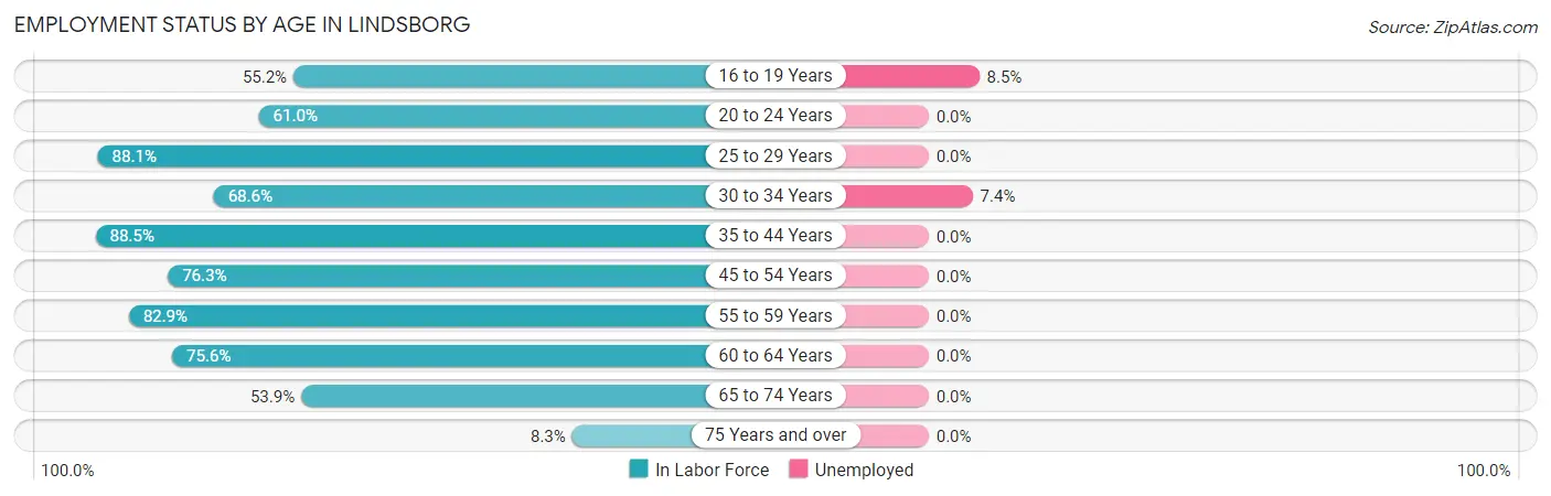 Employment Status by Age in Lindsborg