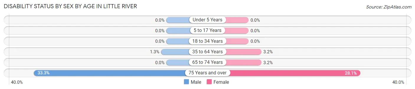 Disability Status by Sex by Age in Little River