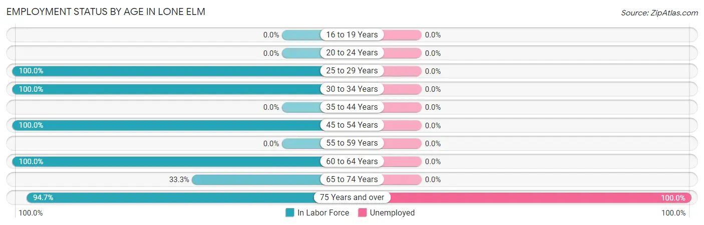 Employment Status by Age in Lone Elm
