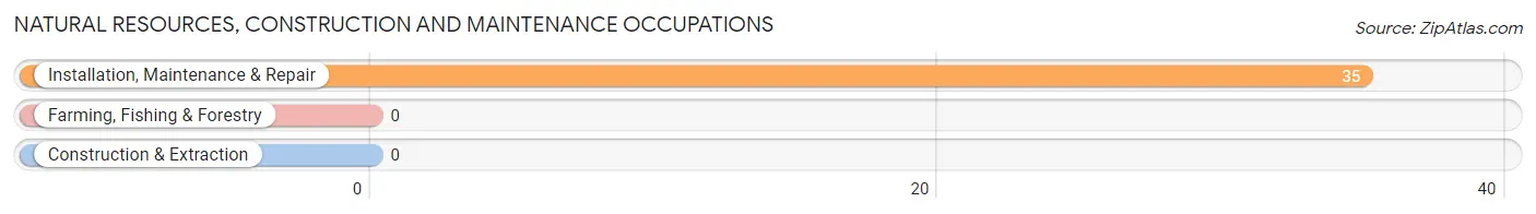 Natural Resources, Construction and Maintenance Occupations in Lowell