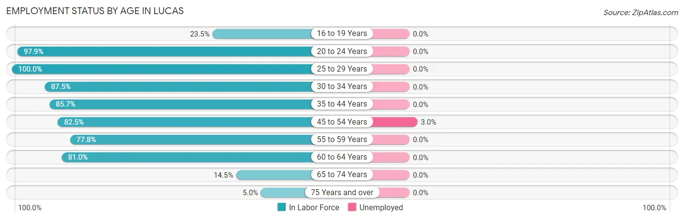 Employment Status by Age in Lucas